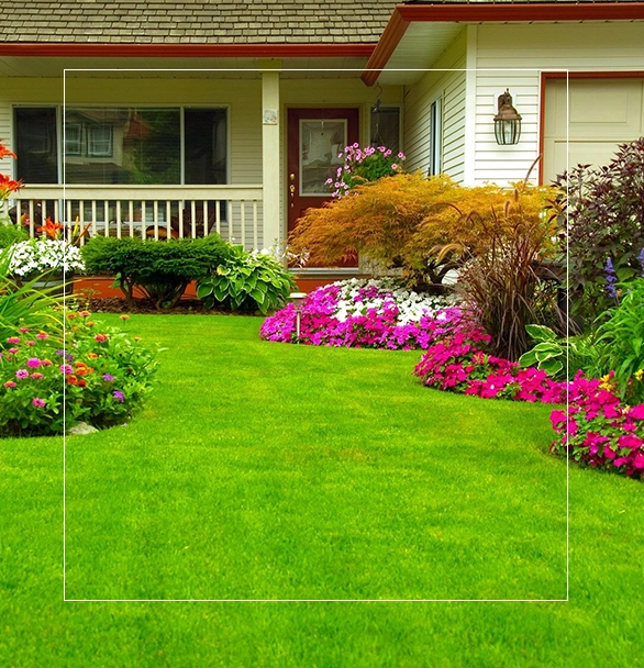 A house with a lawn and flowers in the yard.