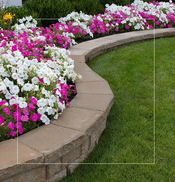 A garden with pink and white flowers in the middle of it.