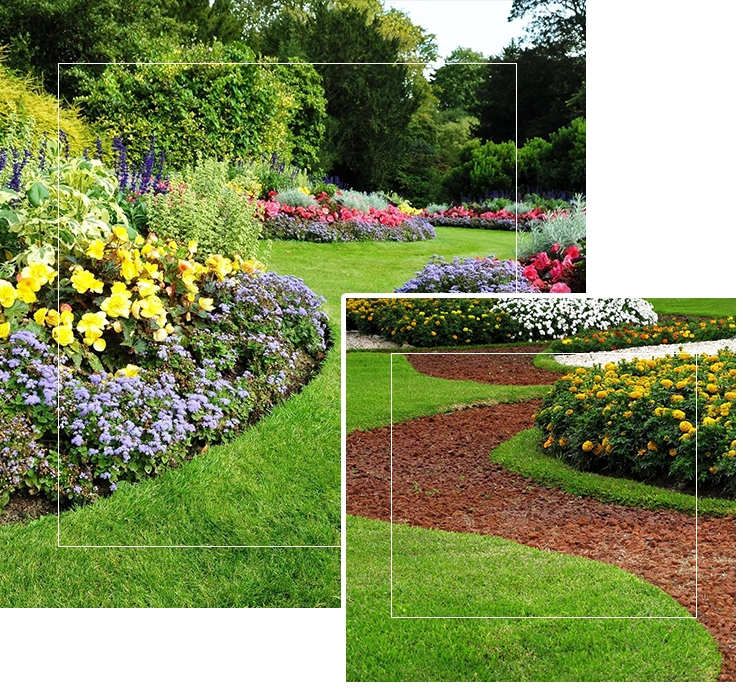 A garden with many different flowers and grass.