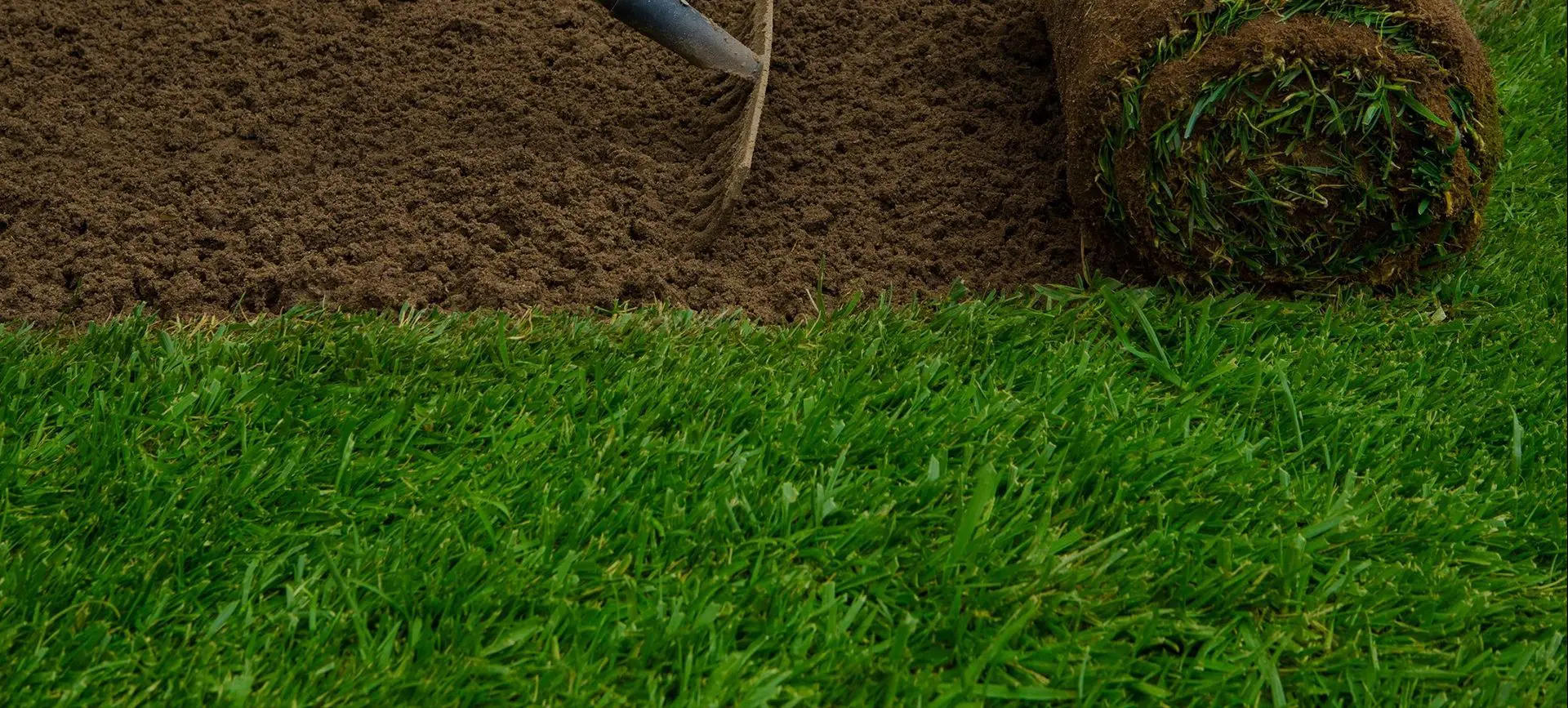 A person digging in the ground with a shovel.