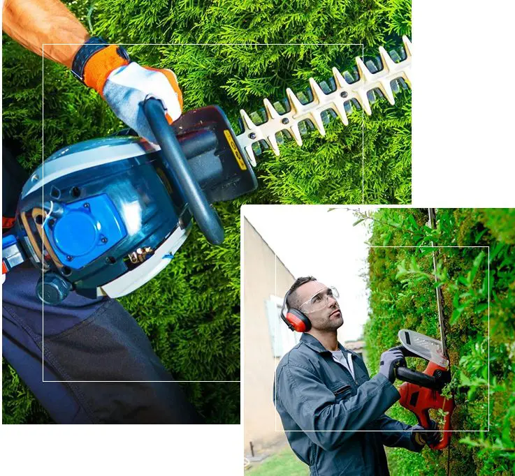 A man holding an electric hedge trimmer and wearing ear muffs.