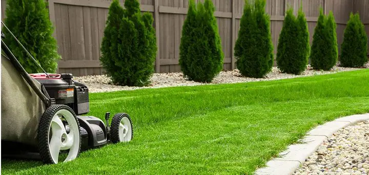 A lawn mower is sitting in the grass.