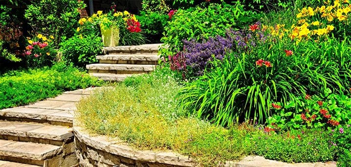 A garden with steps and plants in the background.