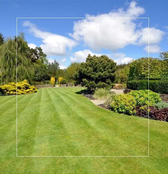 A picture of a garden with grass and trees.