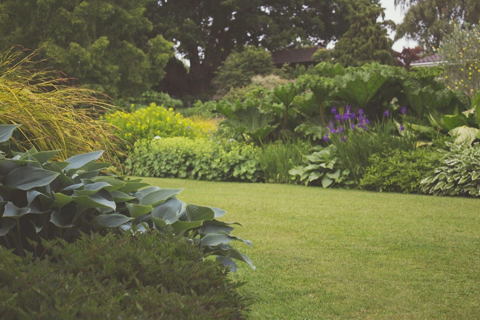 A garden with lots of plants and bushes.