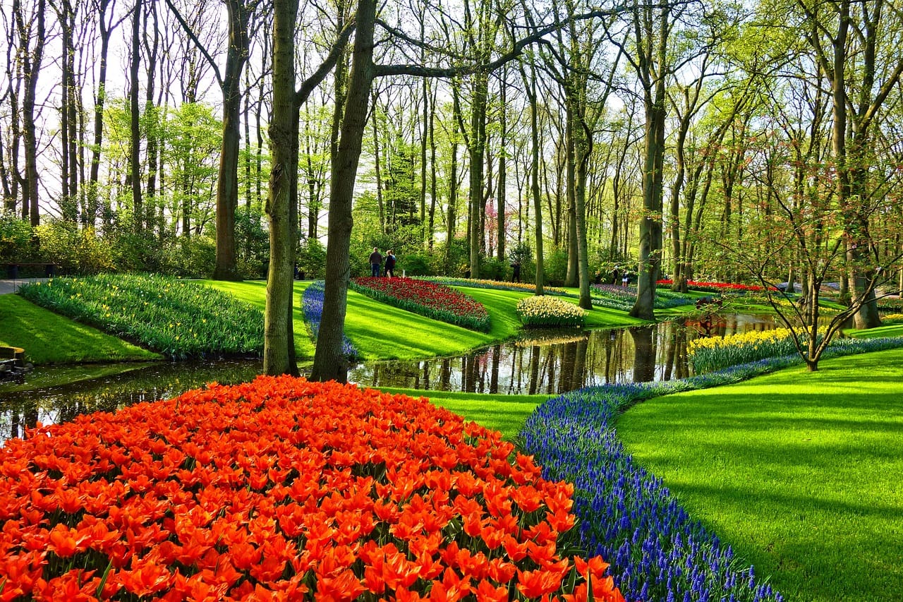 A person walking in the distance near some flowers.